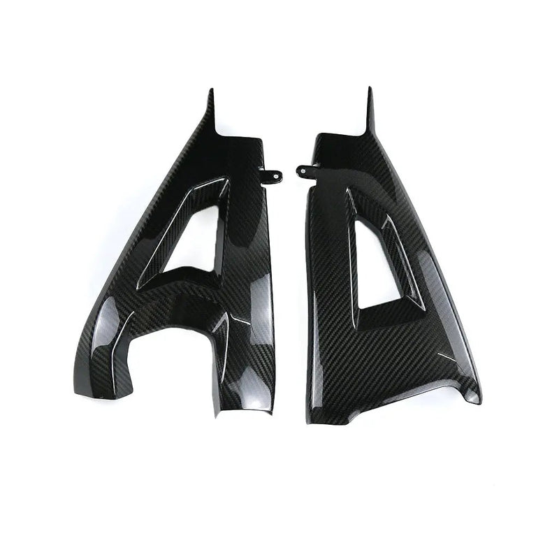 Kawasaki ZX10R 2021-2025 (Swingarm Cover) Dry Carbon by CARBONISE