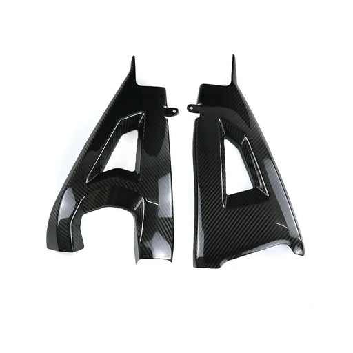 Kawasaki ZX10R 2021-2025 (Swingarm Cover) Dry Carbon by CARBONISE