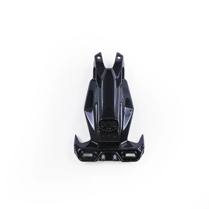 Ninja 400 (License Plate Bracket Fender Eliminator) Dry Carbon by CARBONISE