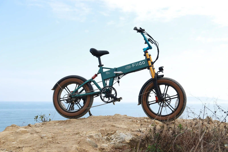 Kiwi eRide Kiwi eRide Fiido M1 Pro E bike 48V 13Ah Folding Electric Bike Fiido M1 Pro E bike 48V 13Ah Folding Electric Bike