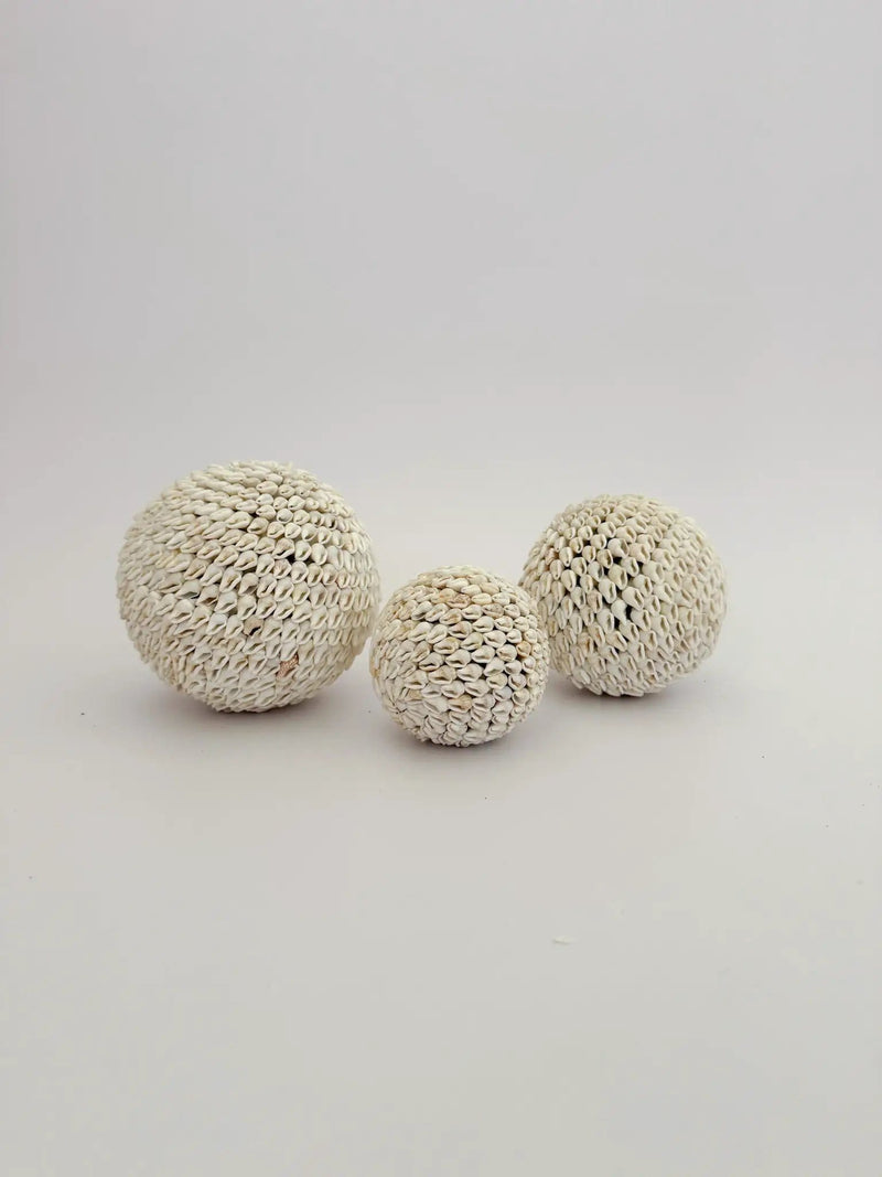 Inkah Limited Natural White Shell Ball Trio Set For Coastal Decor Natural White Shell Ball Trio Set For Coastal Decor
