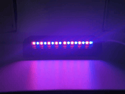 RCNZ RC-01 LED Shift Lights, 10LEDS, Programmable by RaceCrafts