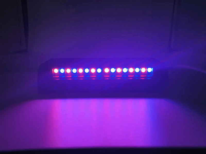 RCNZ RC-01 LED Shift Lights, 10LEDS, Programmable by RaceCrafts