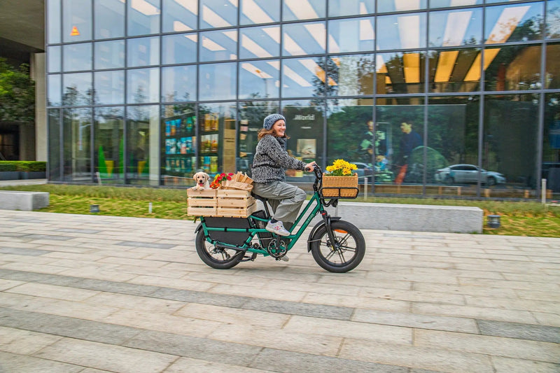 Kiwi eRide Kiwi eRide Fiido T2 Longtail Cargo E-bike Green Fiido T2 Longtail Cargo E-bike Green