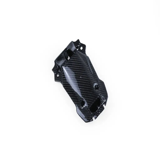 S1000RR 2019-2022 (Tail Cowl) Dry Carbon by CARBONISE
