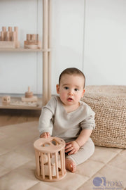 Natural Wooden Shape Sorter - QToys | Montessori Toy NZ by Curious Moonbeam