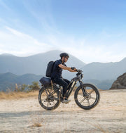 Kiwi eRide Kiwi eRide FIIDO Titan Electric Bike Fat Tire Touring E-bike FIIDO Titan Electric Bike Fat Tire Touring E-bike