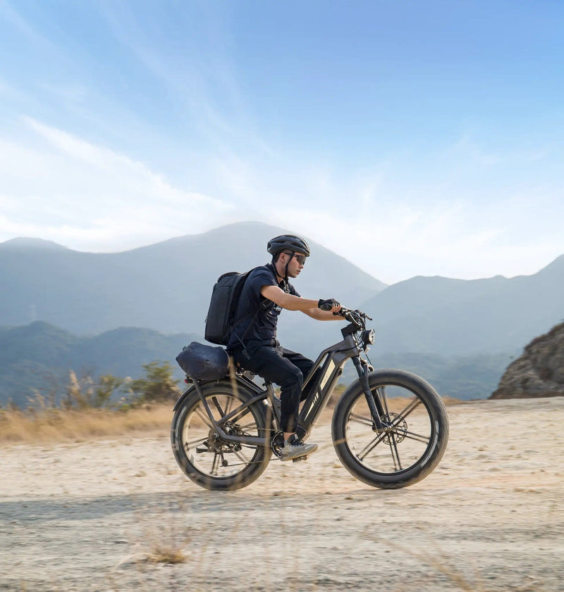 Kiwi eRide Kiwi eRide FIIDO Titan Electric Bike Fat Tire Touring E-bike FIIDO Titan Electric Bike Fat Tire Touring E-bike