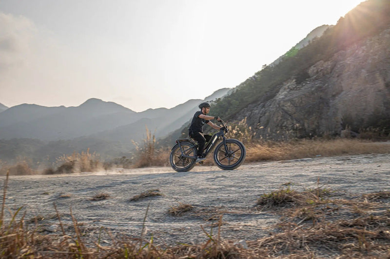 Kiwi eRide Kiwi eRide FIIDO Titan Electric Bike Fat Tire Touring E-bike FIIDO Titan Electric Bike Fat Tire Touring E-bike