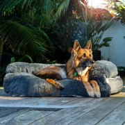 Brooklyn® Chew Resistant Luxe Lounger (2-in-1 Dog Bed) by The Brooklyn