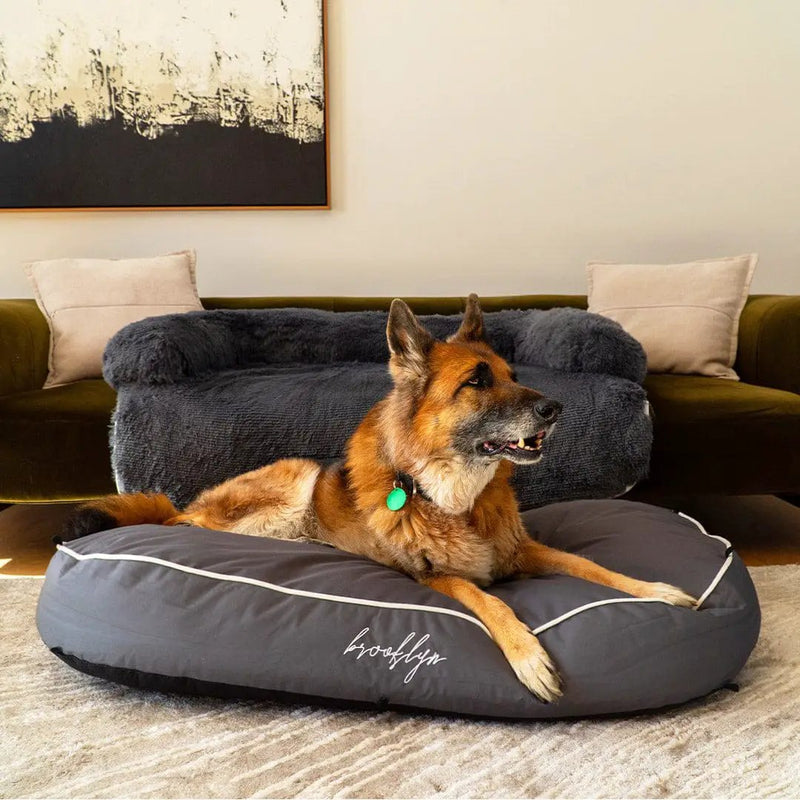 Brooklyn® Chew Resistant Luxe Lounger (2-in-1 Dog Bed) by The Brooklyn