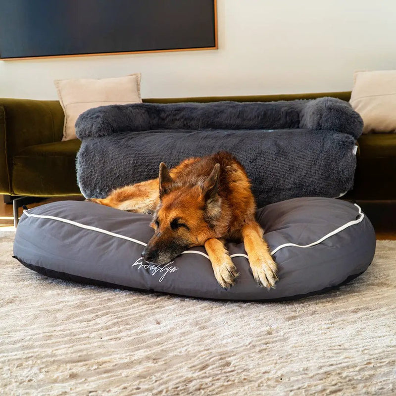 Brooklyn® Chew Resistant Luxe Lounger (2-in-1 Dog Bed) by The Brooklyn