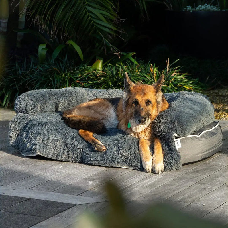 Brooklyn® Chew Resistant Luxe Lounger (2-in-1 Dog Bed) by The Brooklyn