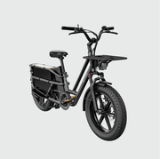 Kiwi eRide Kiwi eRide Fiido T2 Longtail Cargo E-bike Grey Fiido T2 Longtail Cargo E-bike Grey