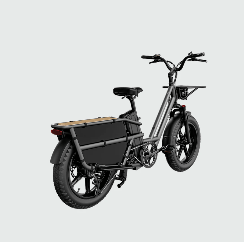 Kiwi eRide Kiwi eRide Fiido T2 Longtail Cargo E-bike Grey Fiido T2 Longtail Cargo E-bike Grey