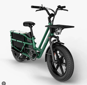 Kiwi eRide Kiwi eRide Fiido T2 Longtail Cargo E-bike Green Fiido T2 Longtail Cargo E-bike Green
