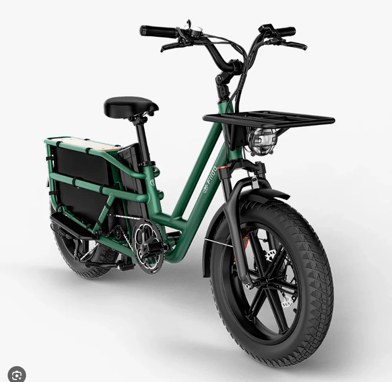 Kiwi eRide Kiwi eRide Fiido T2 Longtail Cargo E-bike Green Fiido T2 Longtail Cargo E-bike Green