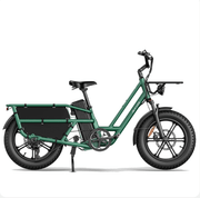 Kiwi eRide Kiwi eRide Fiido T2 Longtail Cargo E-bike Green Fiido T2 Longtail Cargo E-bike Green