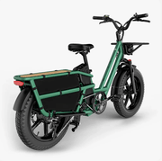 Kiwi eRide Kiwi eRide Fiido T2 Longtail Cargo E-bike Green Fiido T2 Longtail Cargo E-bike Green