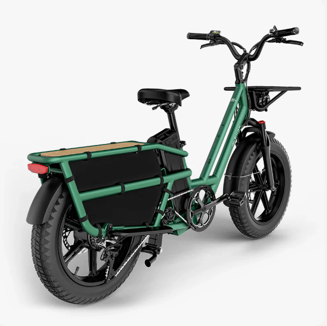 Kiwi eRide Kiwi eRide Fiido T2 Longtail Cargo E-bike Green Fiido T2 Longtail Cargo E-bike Green