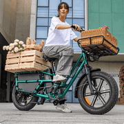 Kiwi eRide Kiwi eRide Fiido T2 Longtail Cargo E-bike Green Fiido T2 Longtail Cargo E-bike Green