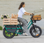 Kiwi eRide Kiwi eRide Fiido T2 Longtail Cargo E-bike Green Fiido T2 Longtail Cargo E-bike Green