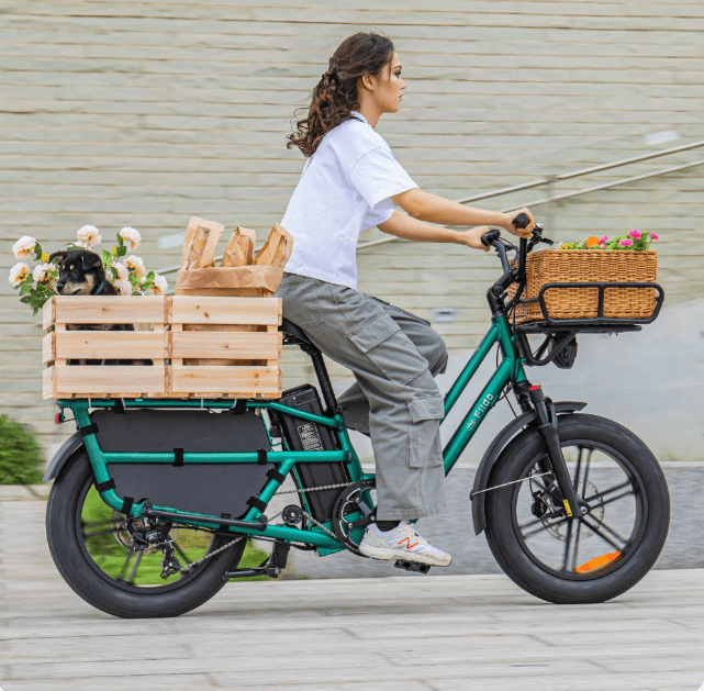 Kiwi eRide Kiwi eRide Fiido T2 Longtail Cargo E-bike Green Fiido T2 Longtail Cargo E-bike Green