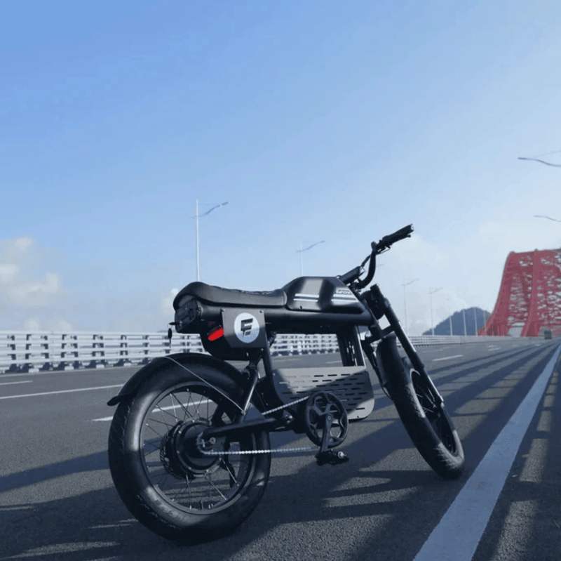 Kiwi eRide Kiwi eRide Mangosteen 48V 22.5Ah E BIKE FT-01 BLACK ELECTRIC BIKE Mangosteen 48V 22.5Ah E BIKE FT-01 BLACK ELECTRIC BIKE
