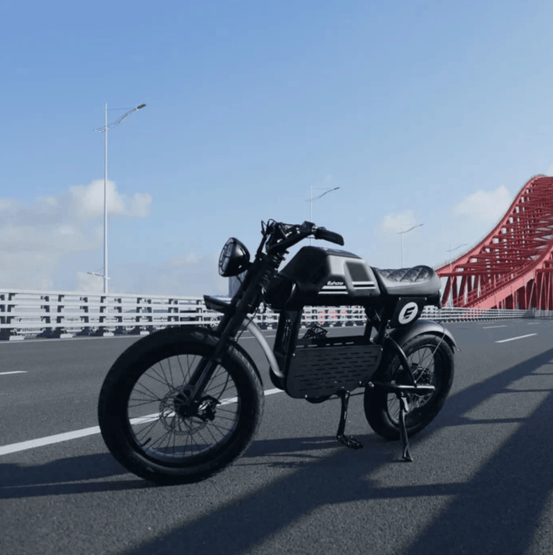 Kiwi eRide Kiwi eRide Mangosteen 48V 22.5Ah E BIKE FT-01 BLACK ELECTRIC BIKE Mangosteen 48V 22.5Ah E BIKE FT-01 BLACK ELECTRIC BIKE