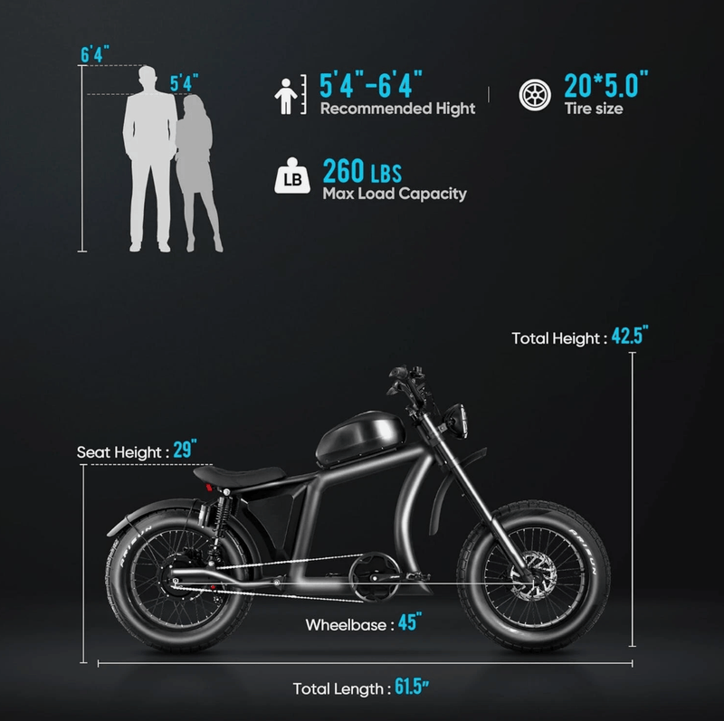 Kiwi eRide Kiwi eRide Mangosteen 48V 22.5Ah FT-02 ELECTRIC BIKE E-BIKE BLACK Mangosteen 48V 22.5Ah FT-02 ELECTRIC BIKE E-BIKE BLACK