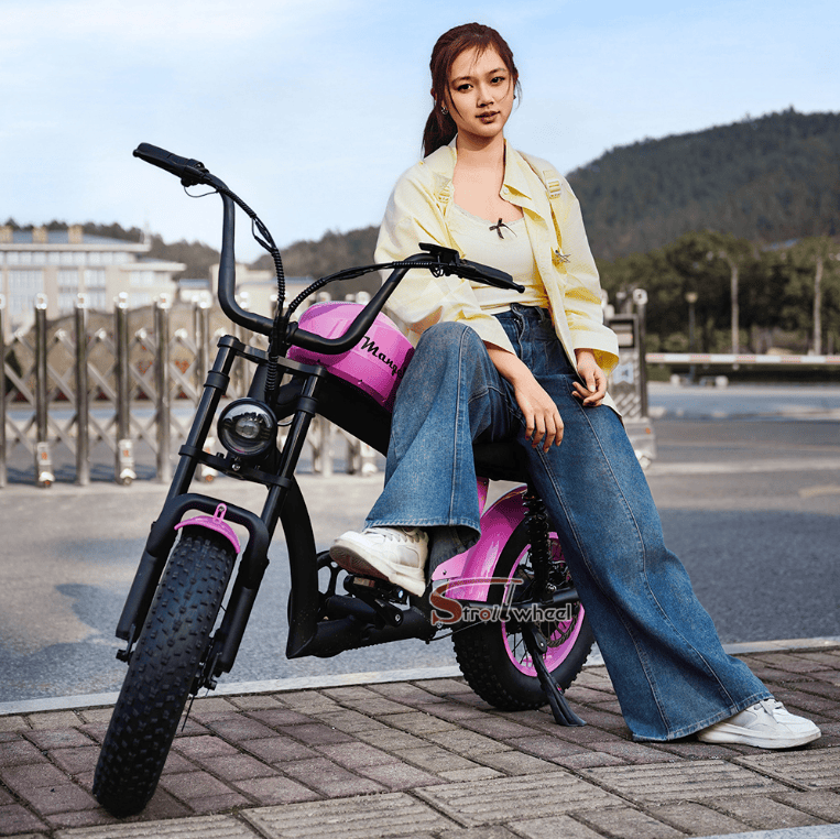 Kiwi eRide Kiwi eRide Mangosteen FT-02 MINI 48V15AH ELECTRIC BIKE PINK Mangosteen FT-02 MINI 48V15AH ELECTRIC BIKE PINK