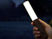 LED Motion Sensor Night Light by Loveliving