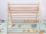 Pikler Triangle Frame with Ramp and Slide by Loveliving