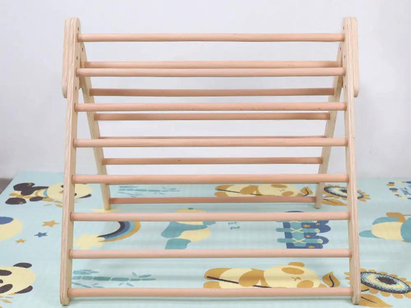 Pikler Triangle Frame with Ramp and Slide by Loveliving