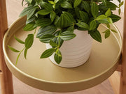 2 Tier Clamping Plants Stand/Display Rack-Natural by Loveliving
