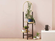 2 Tier Clamping Plants Stand/Display Rack-Dark Walnut by Loveliving