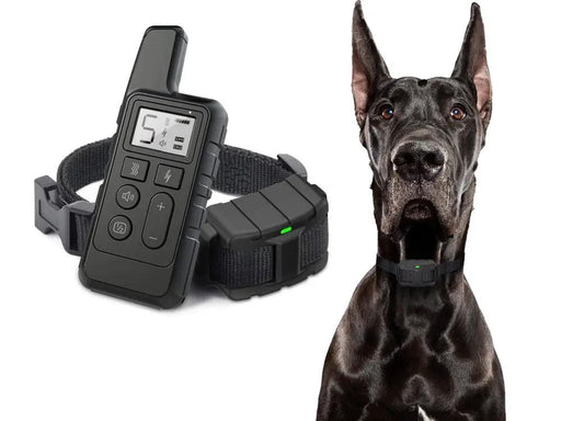 Loveliving Remote Dog Training Collar-2 dogs Remote Dog Training Collar-2 dogs