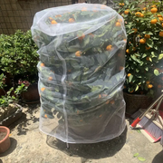 2PCS Plant Cover Bag Fruit Fly Net Insect Mesh by salelink.co.nz