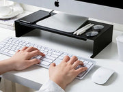 Metal Monitor Desk Stand/Monitor Stand Riser by Loveliving