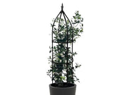 1.8M Garden Obelisks Climbing Vine Plant Flowers Rack by Loveliving