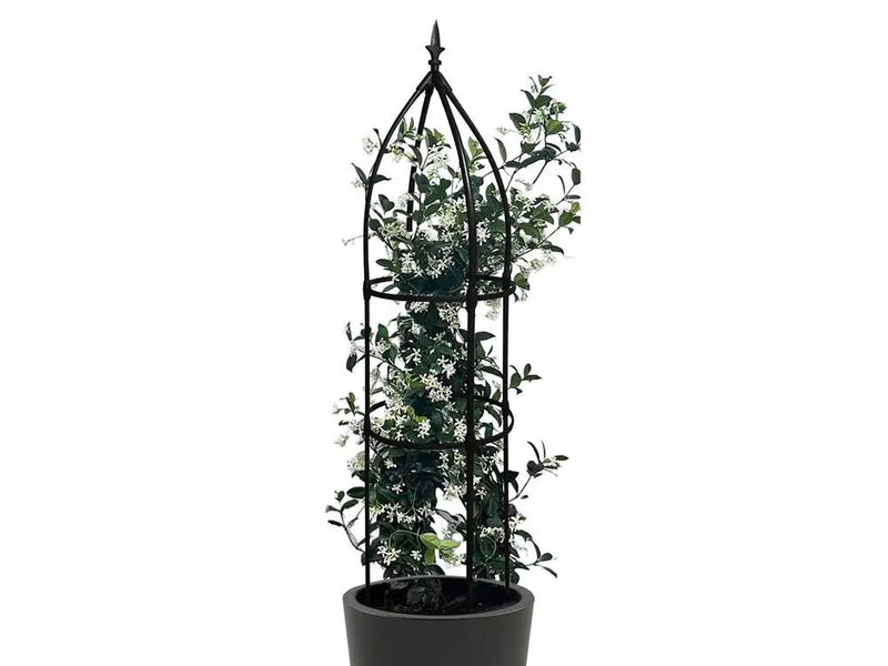 1.8M Garden Obelisks Climbing Vine Plant Flowers Rack by Loveliving