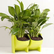 2 x 2-Pocket Vertical Wall Planter Hanging Flower Plant Garden Box Pot by salelink.co.nz