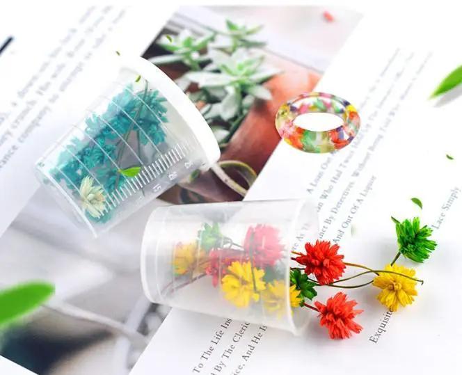 Real Dried Flowers with Branches- Lantern Ball by Resin Art NZ