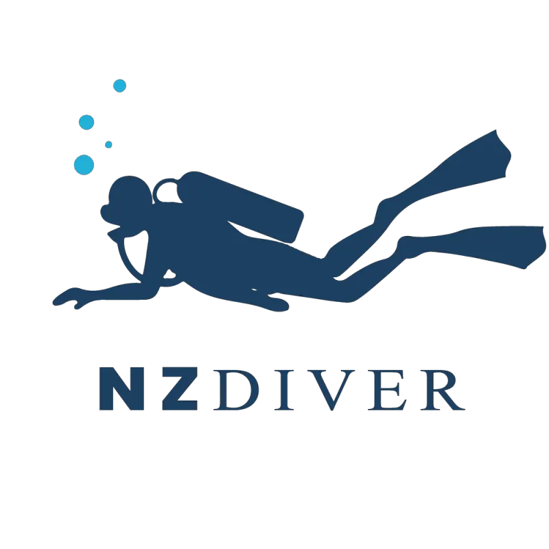 Ball Sinker 6.0oz - 2pc by NZ Diver