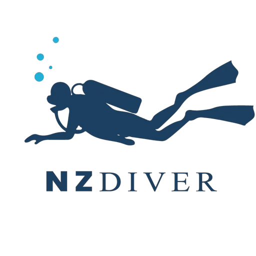 Ball Sinker 6.0oz - 2pc by NZ Diver