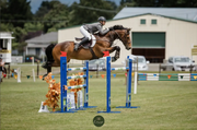 Performance Legacy Show Jacket Gunsmoke Grey by The Brave Pants Company