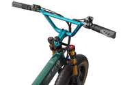 Kiwi eRide Kiwi eRide Fiido M1 Pro E bike 48V 13Ah Folding Electric Bike Fiido M1 Pro E bike 48V 13Ah Folding Electric Bike