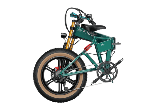 Kiwi eRide Kiwi eRide Fiido M1 Pro E bike 48V 13Ah Folding Electric Bike Fiido M1 Pro E bike 48V 13Ah Folding Electric Bike