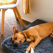 Brooklyn® Ultra Memory Foam Bed by The Brooklyn