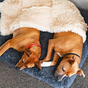 Brooklyn® Ultra Memory Foam Bed by The Brooklyn